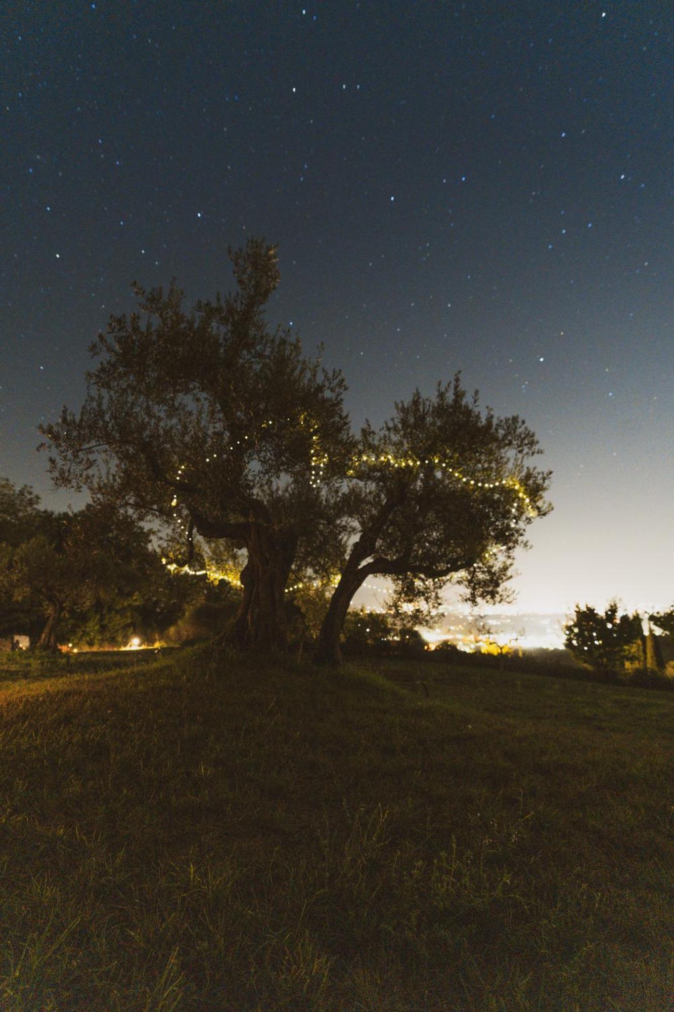 Agriturismo San Felicissimo Perugia Exterior foto