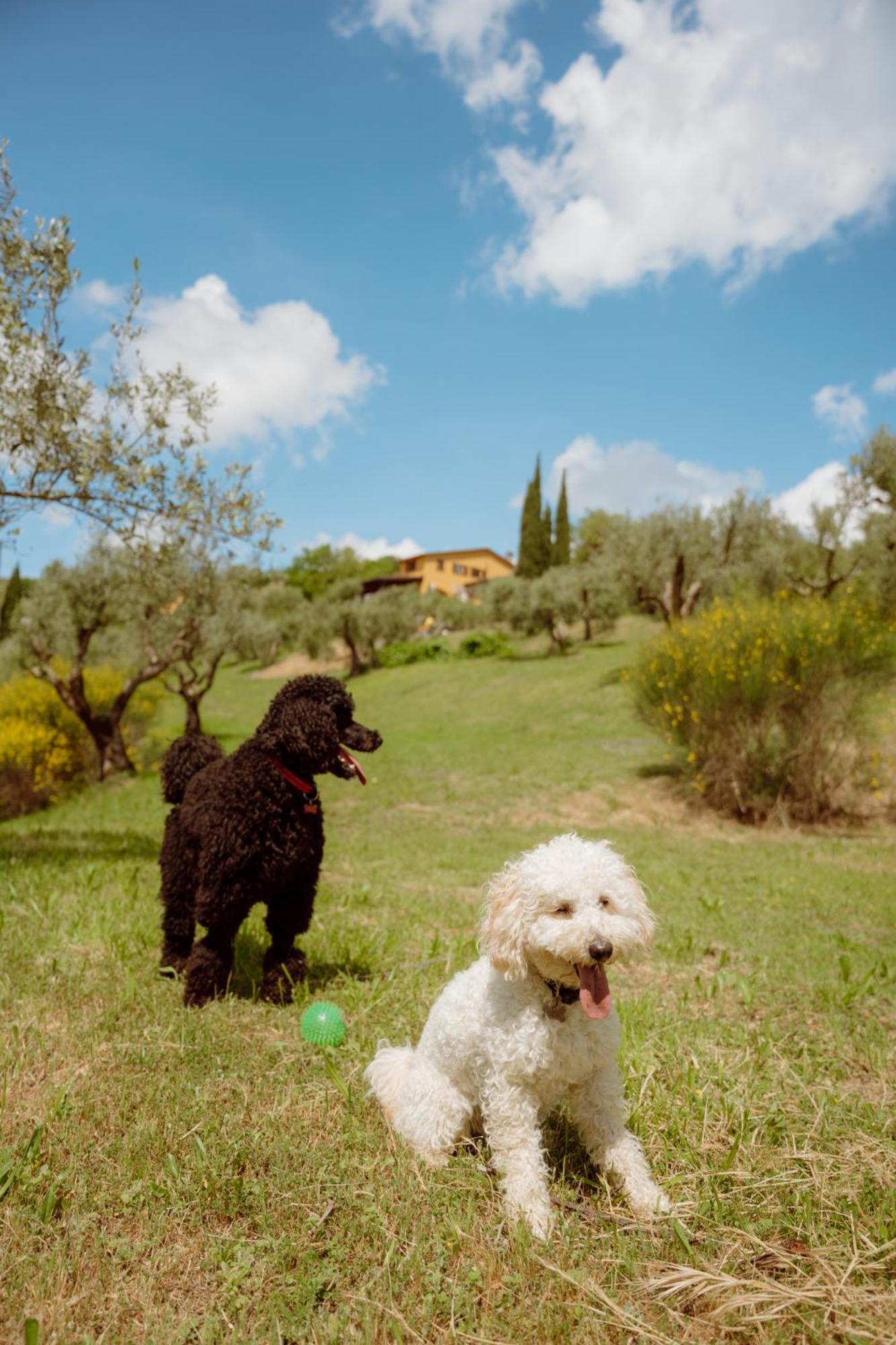 Agriturismo San Felicissimo Perugia Exterior foto